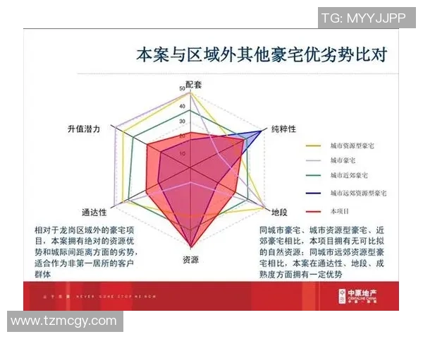 杭州网球队区域防守分析：优劣势与改进方向探讨